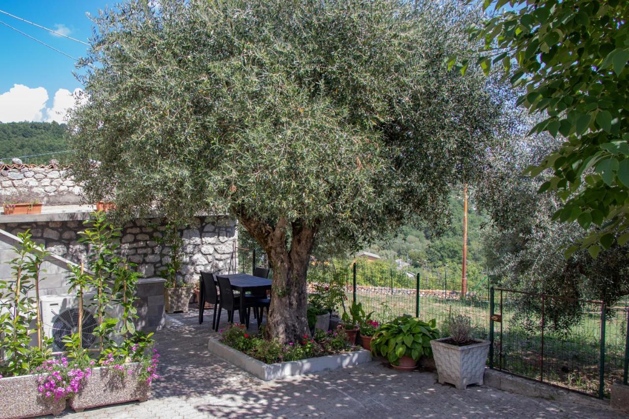Casa Degli Ulivi Con Parcheggio Privato Apartman Muro Lucano Kültér fotó